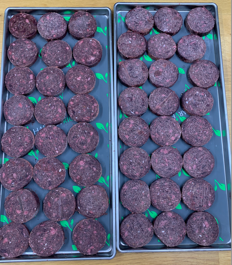 Freeze-Dried Raw Dog Food Coming 2023